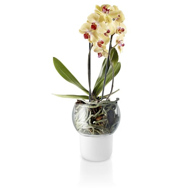 Orchid pot - Ø15 cm. - self-watering