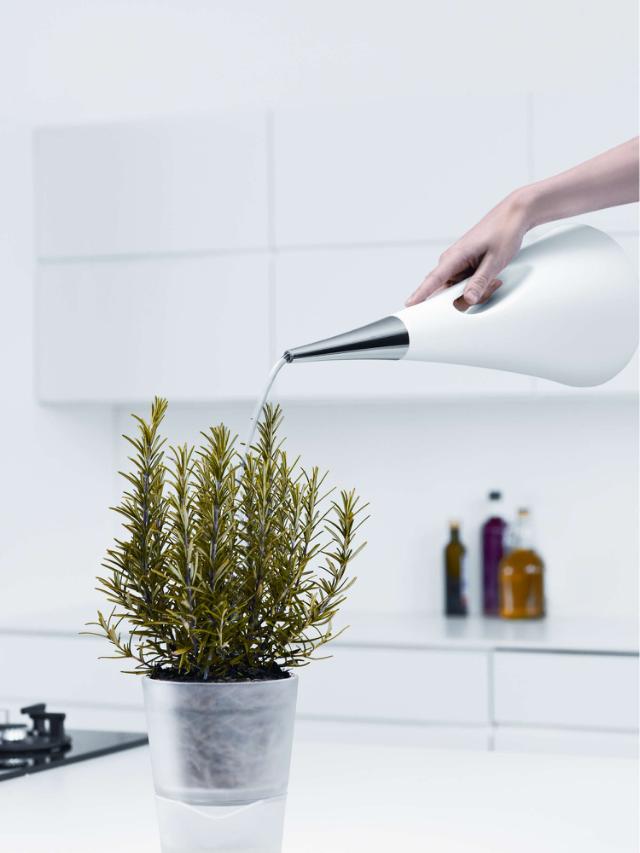 AquaStar - Watering can, grey