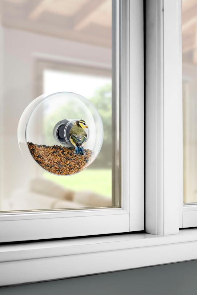 Window bird feeder - Large