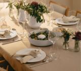 Legio Nova skål - 3,3 l