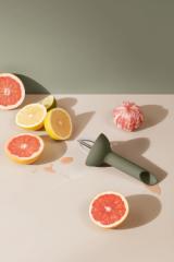 Green tools Citrus press
