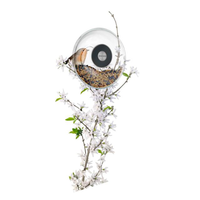 Window bird feeder - Small